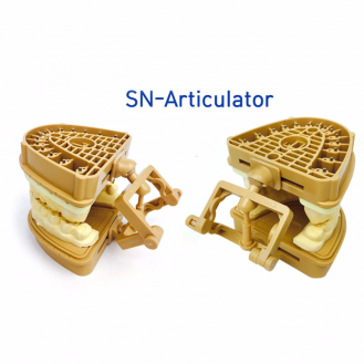 Giá khớp nhựa đơn giản SN -Articulator - Hộp 100 cái