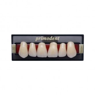 Răng tháo lắp composite Primodent - Vĩ 6 răng