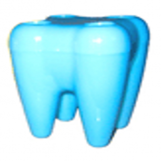 Mô hình 1 răng bình thường - Cái